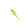 Nature Series Flutter Nymph Chartreuse White