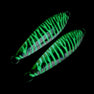 Carnada Slow Pitch Unrigged Glow Mackerel