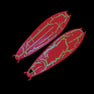 Carnada Slow Pitch Unrigged Pink Glow