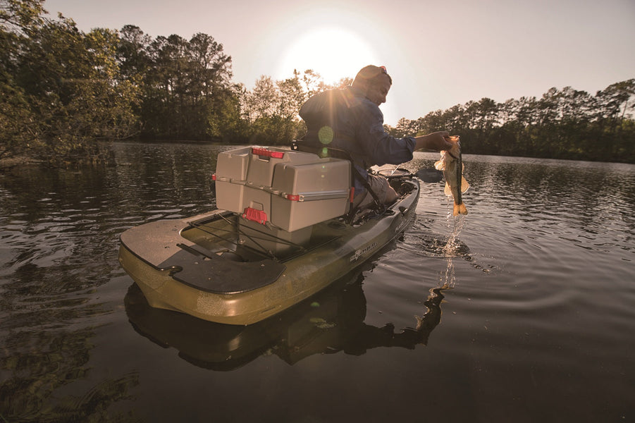 Fall Shad Migration: Master the Bite with FishLab Tackle
