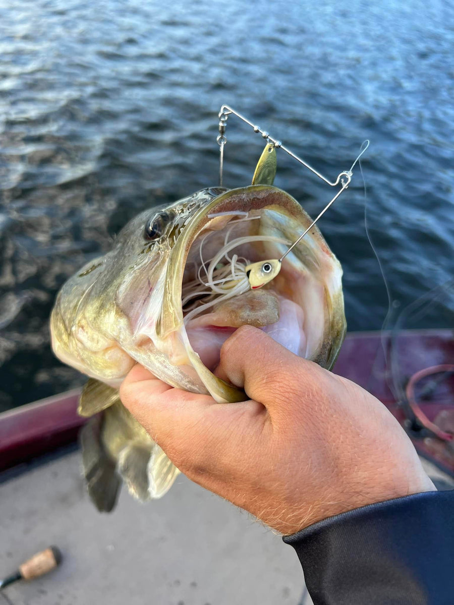 Fishing Bladed Spinnerbaits for Largemouth Bass FishLab