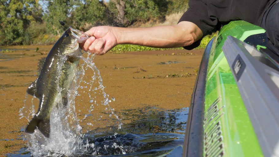 Froggin’ in the Heat: How to Fish the Rattle Toad Pro