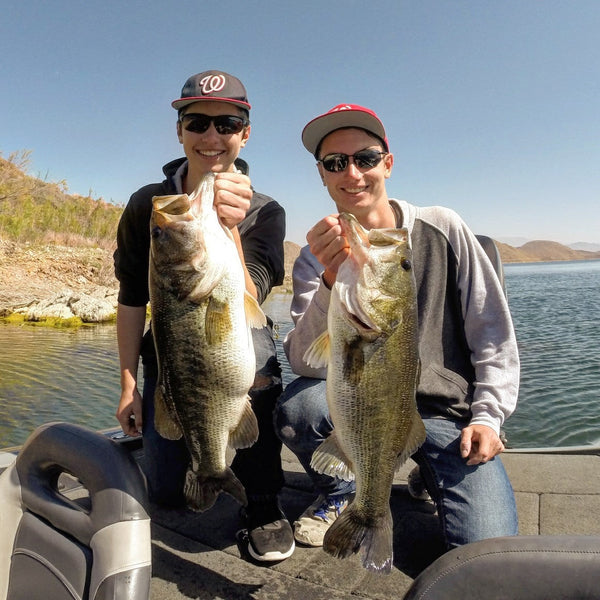 Colorado vs. Willow Blades: Choosing the Right Spinnerbait