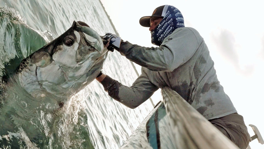 The Florida Mullet Run: Nature’s Saltwater Spectacle