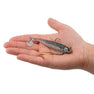 FishLab Alpha Underspin in Bluegill in hand