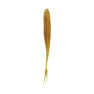 Nature Series Darting Swimmer Houdini
