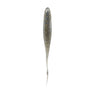 Nature Series Darting Swimmer Smoking Shad