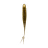 Nature Series Darting Swimmer Tennessee Shad
