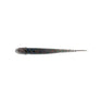 Nature Series Minnow