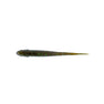 Nature Series Minnow