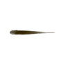 Nature Series Minnow